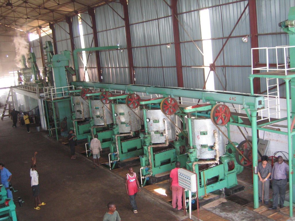 58ecc23fe82c9.jpg